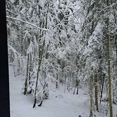 Peace-bjelasnica サラエヴォ